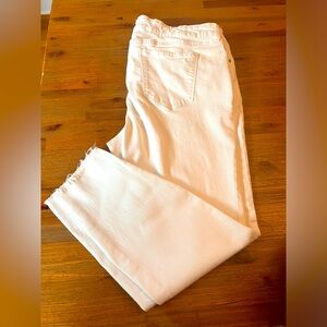 William Rast Ankle Skinny Jeans